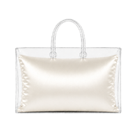 Core Single Purse Pillow
