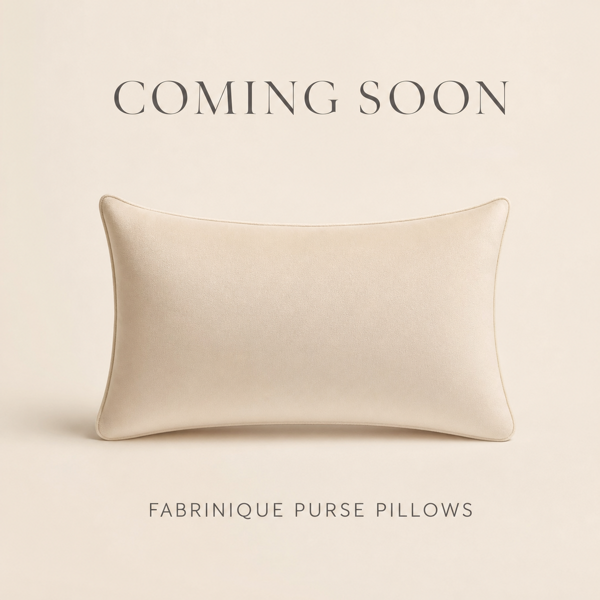 Coming soon — Fabrinique purse pillow for Louis Vuitton Neverfull GM